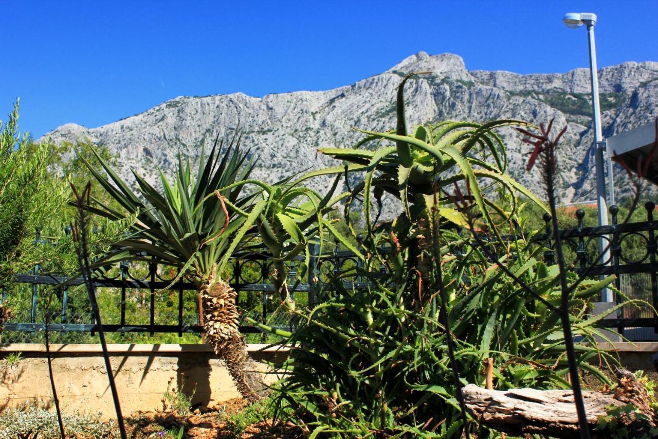 Apartments With A Parking Space Orebic, Peljesac - 10157 エクステリア 写真